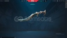 TR YİTİK RİTÜEL BIÇAKLI MAİLLİ HESAP