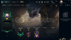 TR Zümrüt 4 | 22 Kostüm - 119 Hero | LoL Hesap