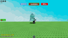 tranquıl cooked owl tranquıl cooked owl