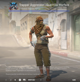 Trapper Aggressor | Guerrilla Warfare T Agent