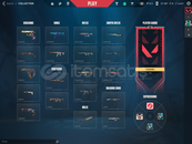 TRNİN EN İYİ HESABI SİLVER 1 TR SERVER