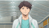 TS OIGAWA ARANIR
