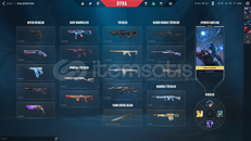 Tüm Bağları Verilcek 211 Seviye Dolu Hesap