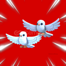 Turtle Doves En Uygunu!