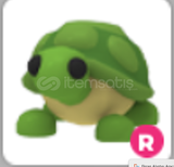 Turtle R