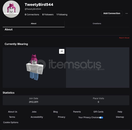 TweetyBird544 2011 Kurulum Hesap