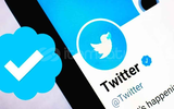 Twitter Hesabınıza Mavi Tik Alın!