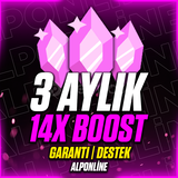 Discord 3 Aylık 14x Boost