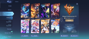 ⭐Uçak çerçeveli mega 4 hesap⭐