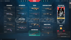 UCUZ 11 SKİNLİ HESAP