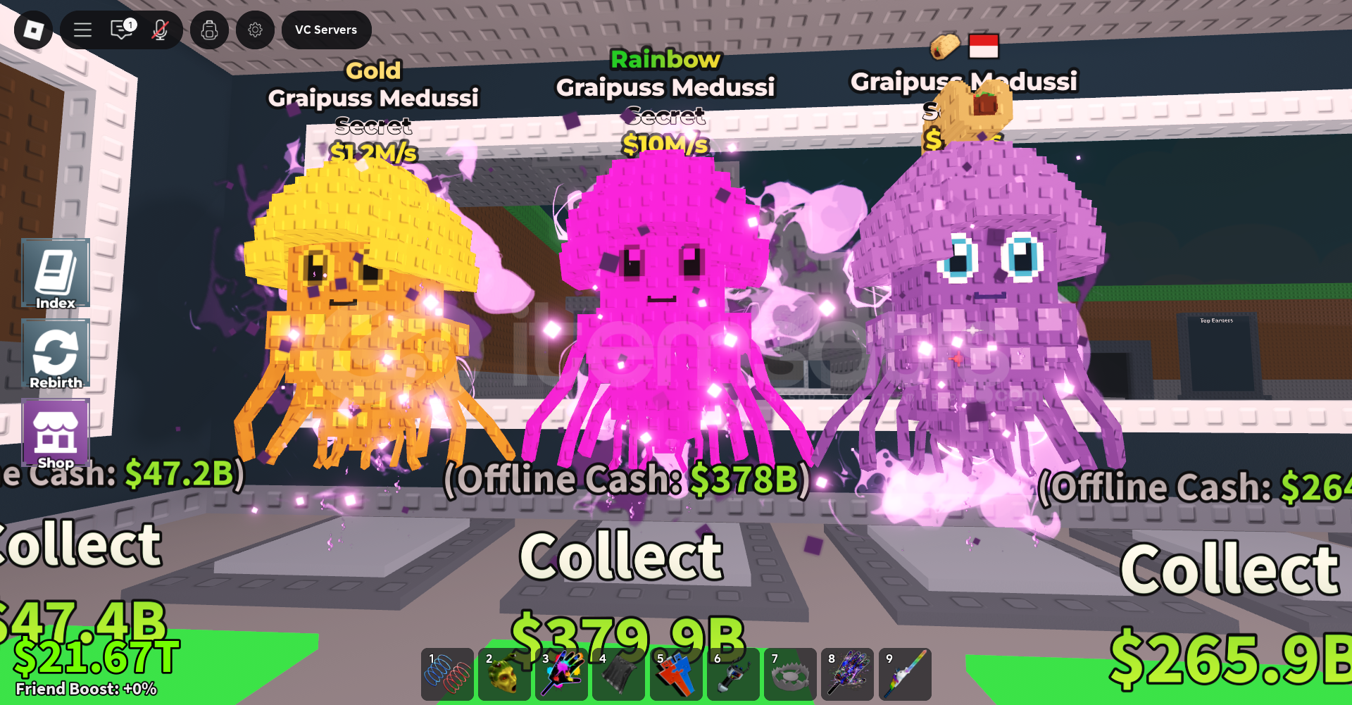 UCUZ RAINBOW GRAUPUSS MEDUSSI