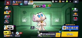 UCUZA 33K BS HESABI DOLU DOLU 