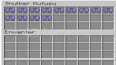 UCUZA CHİCKEN SMP ELYTRA(BÜYÜLÜ) 
