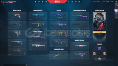 Ucuza Dolu Skinli Dia Hesap PAZARLIK OLUR