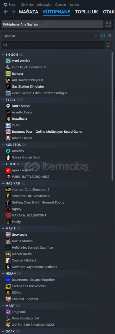 UCUZA DOLU STEAM HESABI UCUZA DOLU STEAM HESABI