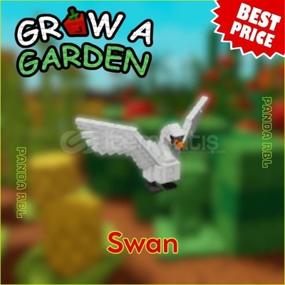 Ucuza swan Ucuza swan