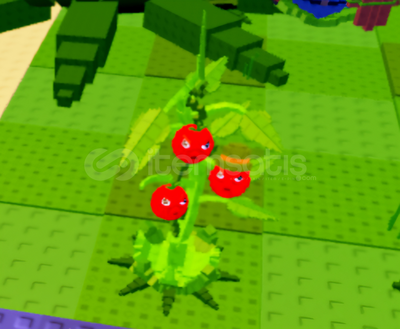 UCUZA 3 ADET TOMATRIO PLANTS VS BRAINROTS UCUZA 3 ADET TOMATRIO PLANTS VS BRAINROTS