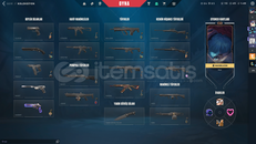 ULUPENÇE VANDALLI MAİLLİ HESAP