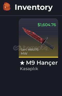 UNBOXİNG RNG BAYONET BIÇAK UNBOXİNG RNG BAYONET BIÇAK