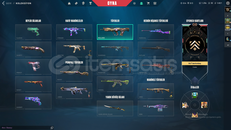 UNRANKED SİLVER ÜSTÜ ÇIKILMAMIŞ HESAP