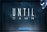 Until Dawn Steam +Garanti