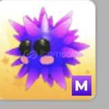 Urchin M