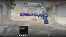 ✨✨USP-S | Alp Kamuflajı FT 0.28 float✨✨
