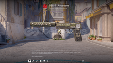 USP-S | Anımsama (FT)