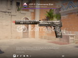 USP-S | Cehenneme Bilet (görevde kullanılmış)