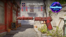 USP-S | Check Engine (Field-Tested)