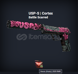 USP-S Cortex Battle Scarred 4