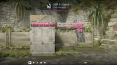 USP-S CORTEX KABUK (FT)