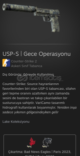 USP-S | Gece Operasyonu