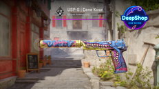 USP-S | Jawbreaker (FT)