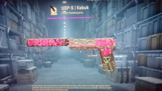 USP-S | Kabuk