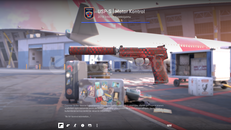 USP-S | Motor Kontrol (Hızlı Teslimat)