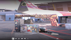 USP-S | Orange Anolis (Factory New) USP-S | Orange Anolis (Factory New)