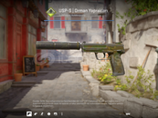 USP-S | Orman Yaprakları (WW) USP-S | Orman Yaprakları (WW)