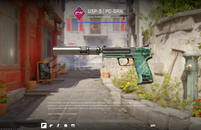 USP-S | PC-GRN 