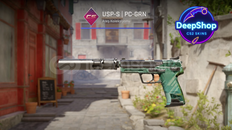 USP-S | PC-GRN (Field-Tested)