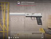 USP-S | Printstream (FT)