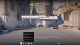 USP-S | Printstream