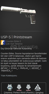 USP-S | Printstream FT