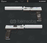 USP-S | Printstream (Field-Tested)