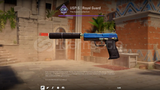 USP-S ROYAL GUARD