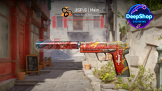 USP-S | The Traitor (FT)