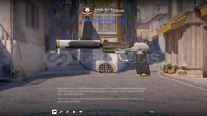 USP-S | Tork (FT)