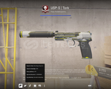 USP-S | Tork Görevde Kullanılmış