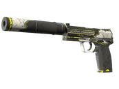 ✅ USP-S | Torque