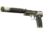✅ USP-S | Torque